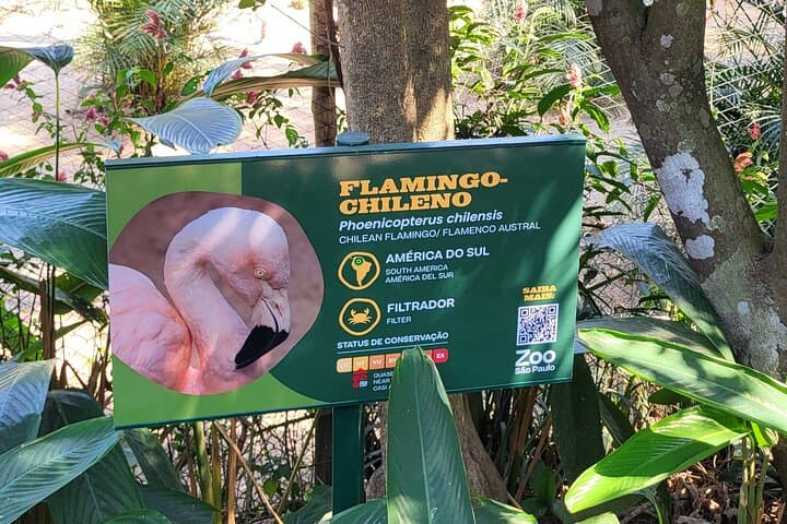 Explore São Paulo Zoo: Guided Tour Through Atlantic Forest Wildlife photo 2