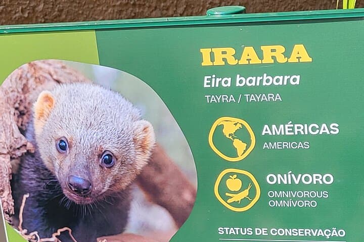Explore São Paulo Zoo: Guided Tour Through Atlantic Forest Wildlife photo 3