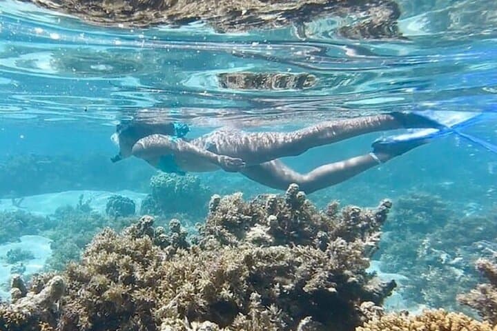 Grace Bay Half-Day Snorkel and Island Hopping — Reef Exploration & Iguana Island photo 2
