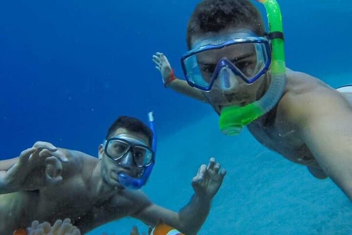 Grace Bay Half-Day Snorkel and Island Hopping — Reef Exploration & Iguana Island photo 3