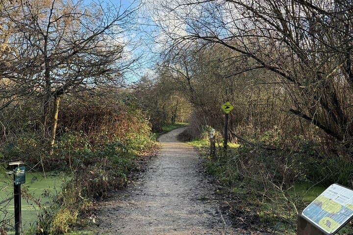 Ealing Beaver Project Self-Guided Walk: Urban Beaver Rewilding in London