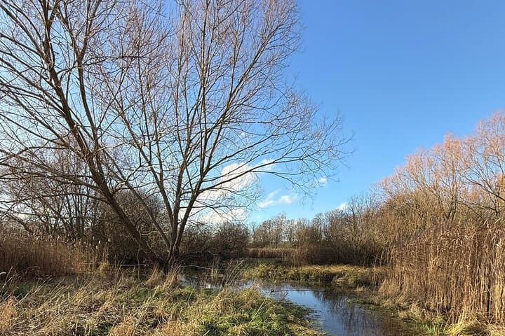 Ealing Beaver Project Self-Guided Walk: Urban Beaver Rewilding in London photo 4