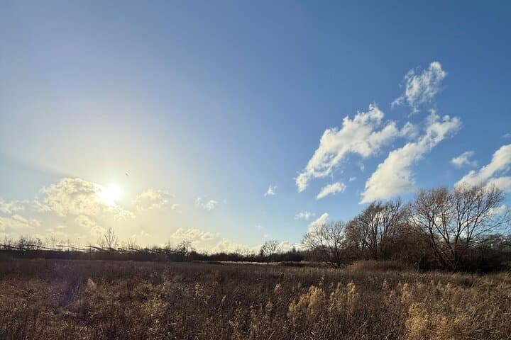 Ealing Beaver Project Self-Guided Walk: Urban Beaver Rewilding in London photo 5