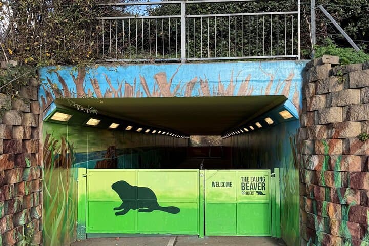 Ealing Beaver Project Self-Guided Walk: Urban Beaver Rewilding in London photo 6
