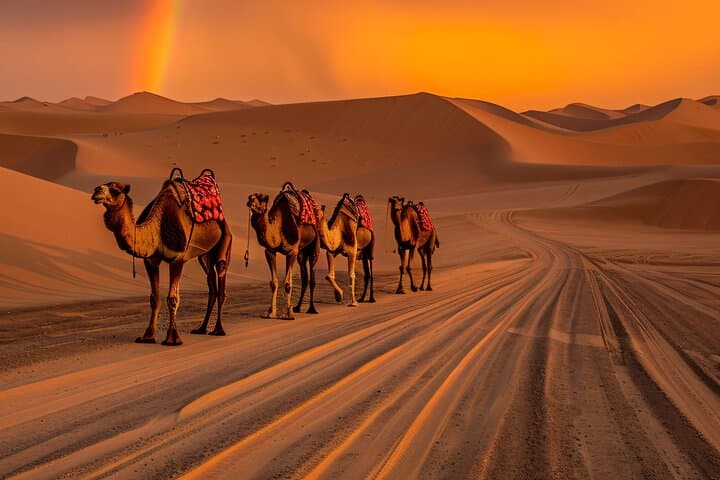 Dubai VIP Red Dune Desert Safari: 4x4 Bashing, Camel Rides & BBQ Under the Stars photo 1