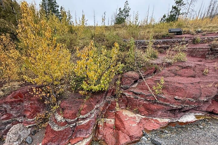 Luxury Day Trip to Waterton Lakes National Park from Calgary photo 2