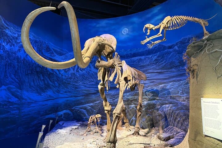 Drumheller Hoodoos & Royal Tyrrell Museum Private Day Tour from Calgary photo 5