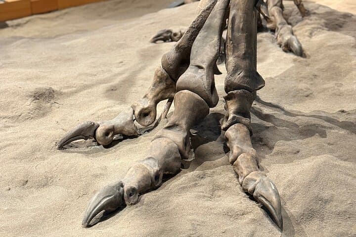 Drumheller Hoodoos & Royal Tyrrell Museum Private Day Tour from Calgary photo 6