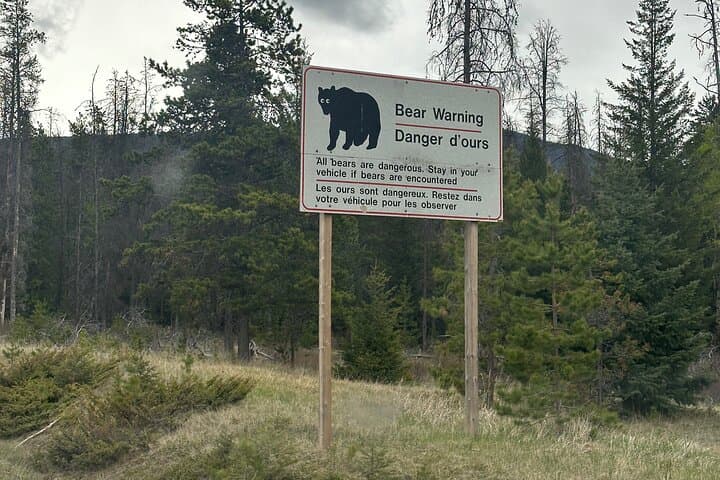 Luxury 2-Day Jasper National Park Tour from Calgary photo 2