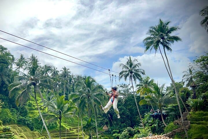 Alas Harum Zipline & Ulu Petanu Waterfall — Ubud Full-Day Adventure