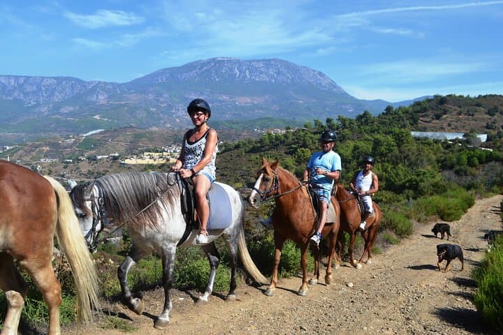 Taurus Mountains Horseback Ride: Forest Trails & Mediterranean Sea Views (2.5 Hours)