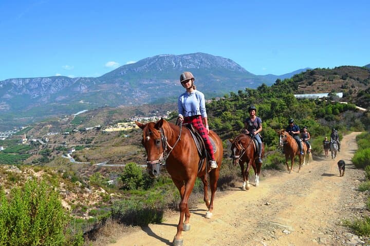 Taurus Mountains Horseback Ride: Forest Trails & Mediterranean Sea Views (2.5 Hours) photo 4