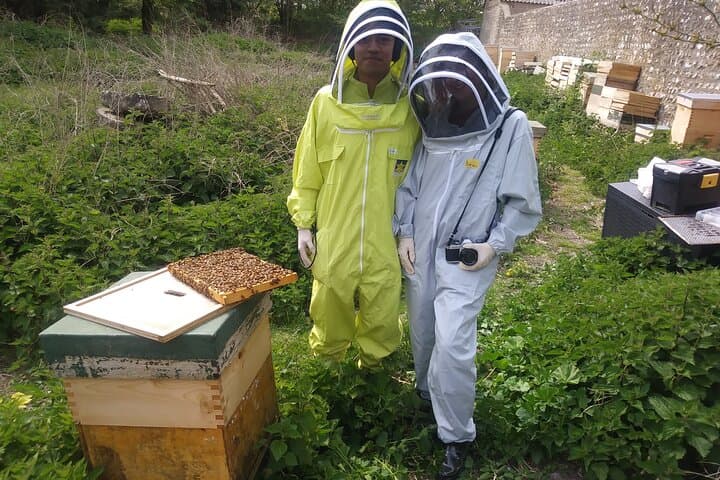 Bee a Beekeeper: Hands-On Beekeeping Experience in Sussex