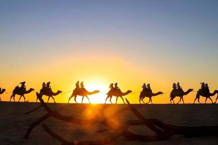 Pick 2 Adventure Combo in Cabo: ATV, RZR, Horseback & Snorkel photo 6