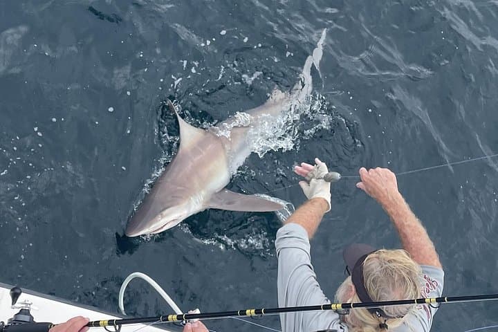 Private 6-Hour Deep-Sea Fishing Charter in Destin aboard the Special K photo 4