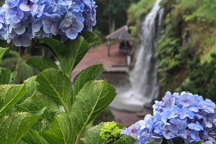 Waterfall Wonders Journey on São Miguel: Full-Day Waterfall Tour with Lunch photo 3