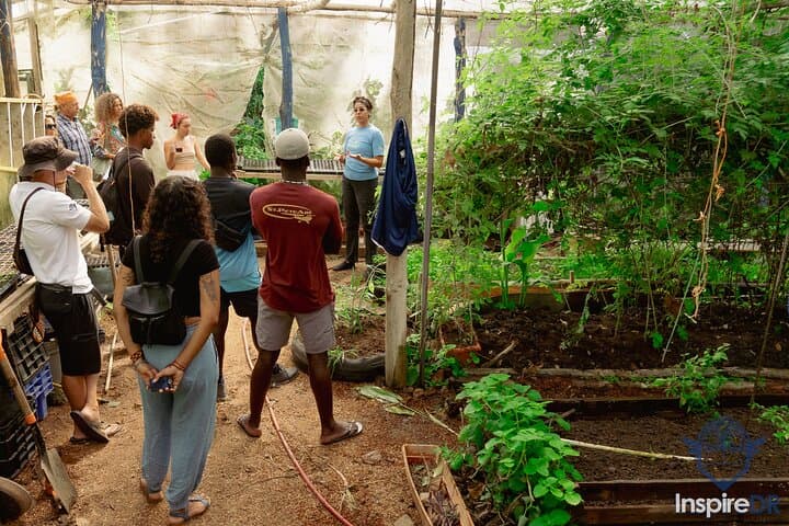 Cabarete Food & Culture Walking Tour: Local Eats, Artisan Workshops & Community Stories photo 2