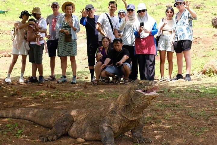 Komodo Speedboat Day Trip: Padar, Pink Beach & Manta Snorkel from Labuan Bajo photo 3