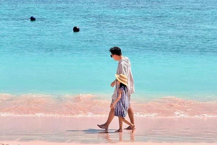 Komodo Speedboat Day Trip: Padar, Pink Beach & Manta Snorkel from Labuan Bajo photo 2