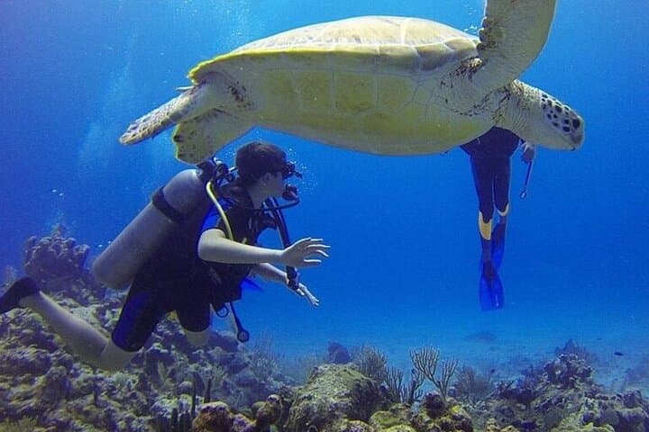 Snorkel Ras Mohammed: Red Sea Reef Adventure from Sharm El Sheikh photo 4