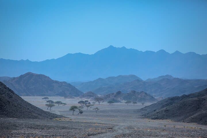 Full-Day Wadi Hike from Marsa Alam: Wadi Shagra & Bedouin Trails