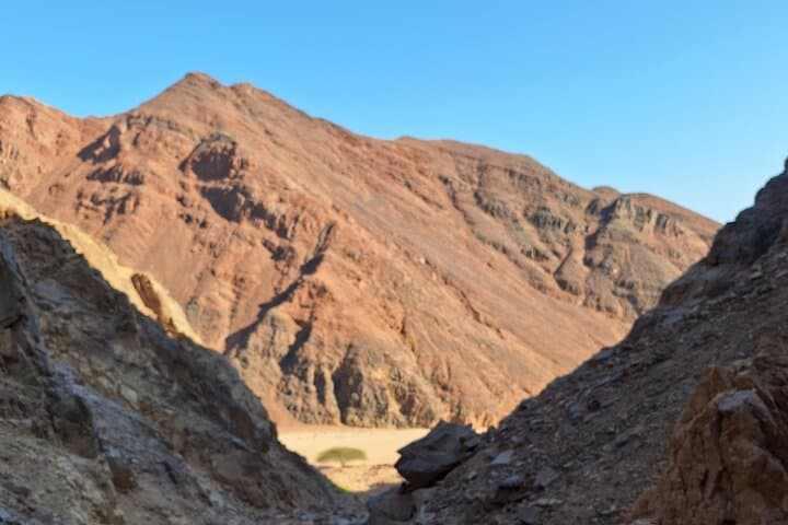 Full-Day Wadi Hike from Marsa Alam: Wadi Shagra & Bedouin Trails photo 3