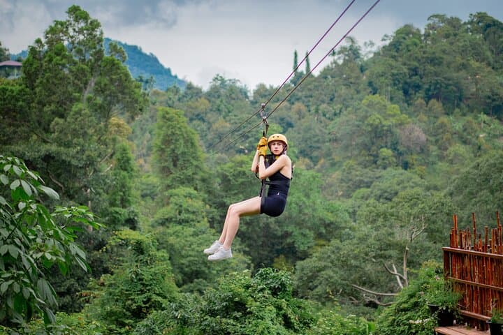 Koh Samui Tree Bridge Zipline: Canopy Tour Over Rainforest & Waterfall Views photo 4