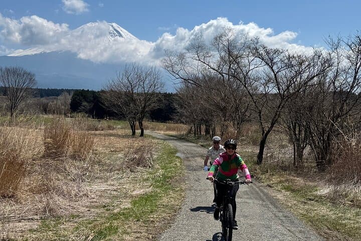 Explore Mt. Fuji's Quiet Side: Full-Day E-Bike Nature Tour from Fujinomiya photo 2