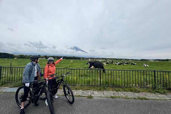 Explore Mt. Fuji's Quiet Side: Full-Day E-Bike Nature Tour from Fujinomiya photo 6