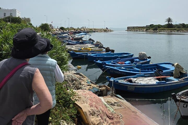 VIP Day Tour from Sousse: Tunis, Sidi Bou Said & Carthage photo 6