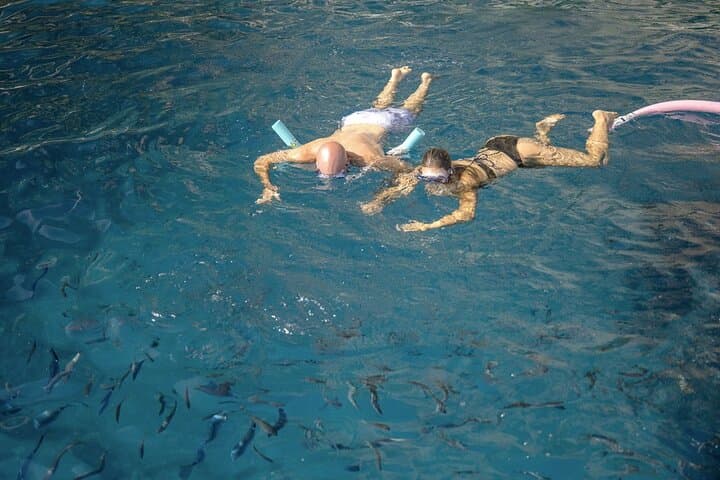 Capri Boat Tour from Positano: Blue Grotto, Snorkeling & Sunset at Li Galli photo 6
