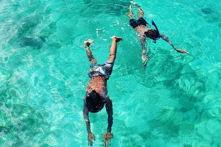 Half-Day Snorkel and Sandbar Boat Tour in Providenciales, Turks and Caicos photo 2