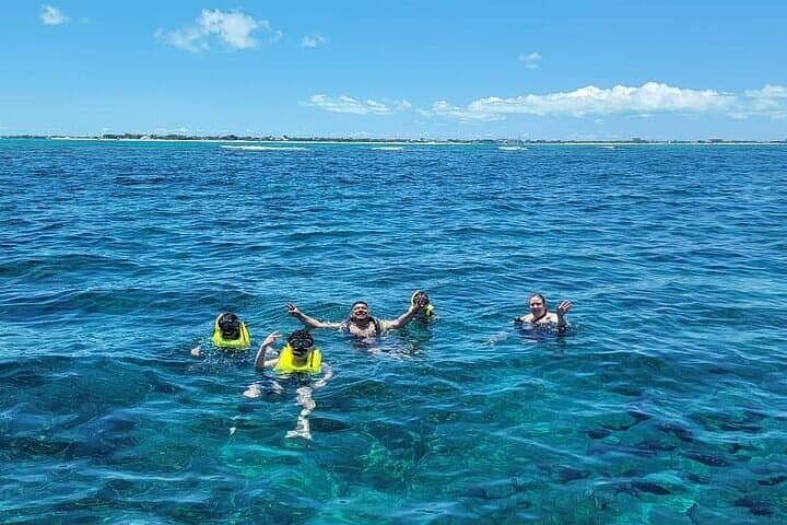 Half-Day Snorkel and Sandbar Boat Tour in Providenciales, Turks and Caicos photo 3
