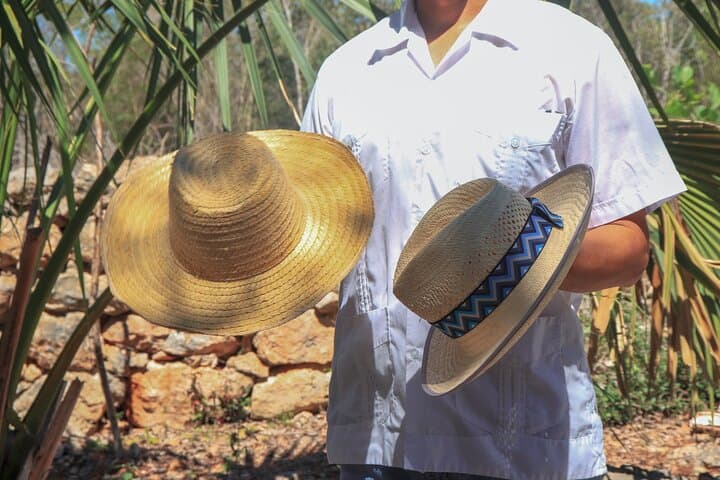 Campeche Mayan Journey Through Bones and Cochinita: Historic Center Drinking Tour photo 3