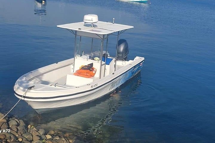 Sport Fishing from Puerto Jimenez: Private Charter on Golfo Dulce photo 6