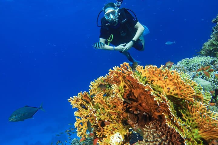 PADI Open Water Diver Course in Sharm el-Sheikh — 3-Day Red Sea Certification photo 6