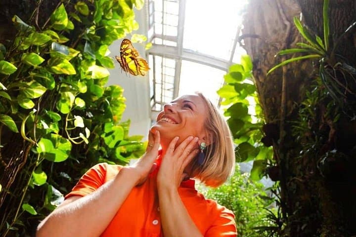 Inside Abu Dhabi’s Immersive Butterfly Garden — Biodomes, Koi Ponds & Aquarium Combo photo 4