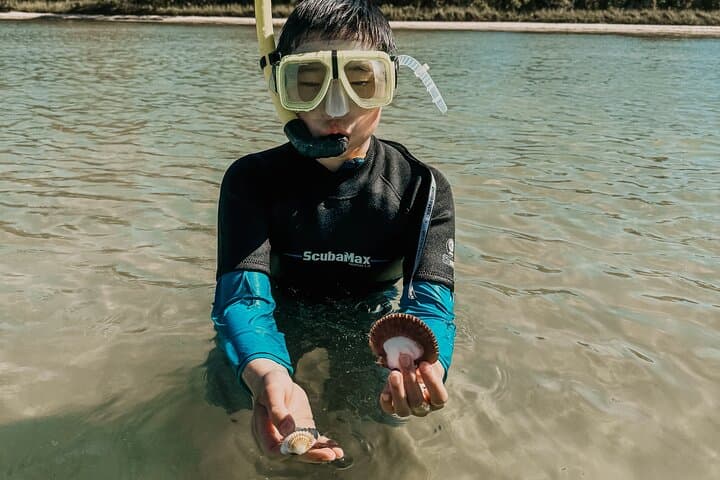 Destin Two-Stop Snorkeling and Shelling Adventure at the Jetties photo 2