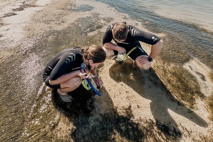Destin Two-Stop Snorkeling and Shelling Adventure at the Jetties photo 4