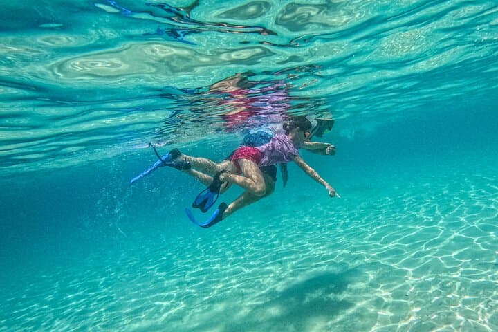 Destin Two-Stop Snorkeling and Shelling Adventure at the Jetties photo 3