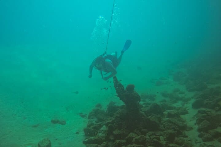 Explore Destin Underwater: SNUBA® Guided Adventure on the Gulf photo 6