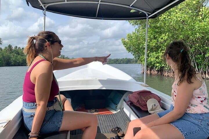 Koggala River Boat Safari — Monkeys, Mangroves & Cinnamon Gardens photo 2