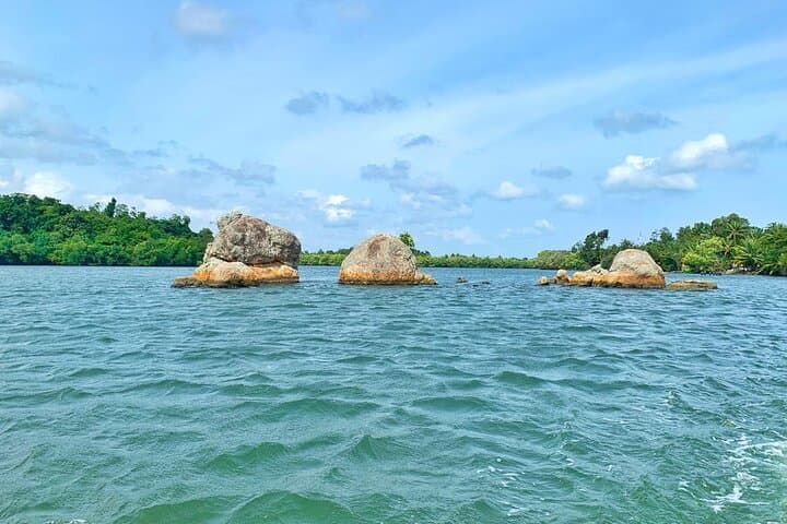 Koggala River Boat Safari — Monkeys, Mangroves & Cinnamon Gardens photo 3