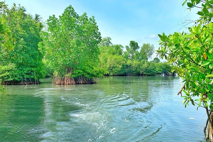 Koggala River Boat Safari — Monkeys, Mangroves & Cinnamon Gardens photo 5