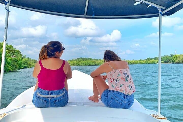 Koggala River Boat Safari — Monkeys, Mangroves & Cinnamon Gardens