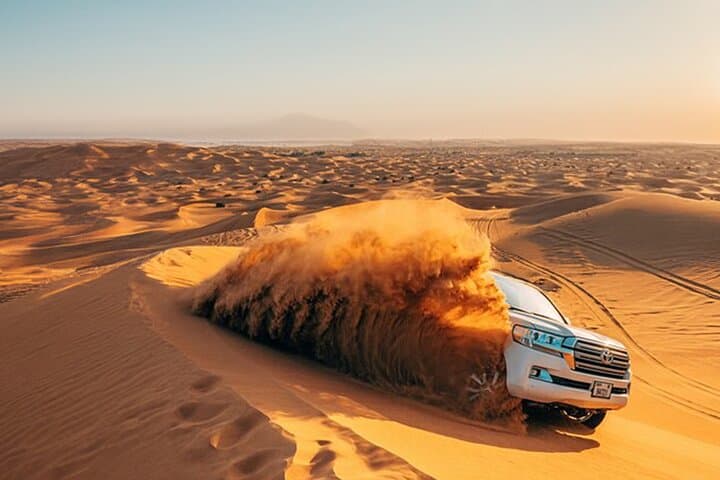 Dubai Red Dunes Safari: Sandboarding, Camel Ride & Falcon Photo Experience