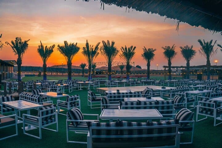 Evening Dubai Desert Safari: Dune Bashing, BBQ Dinner & Live Shows from Meeting Point