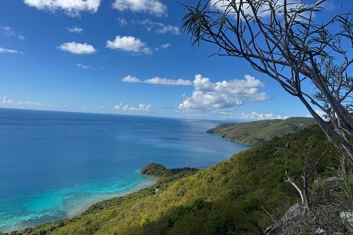 Brewers Cave Hike and Snorkel with Sea Turtles — Half-Day St. Thomas Adventure