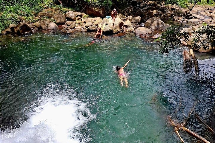 Seven Sisters Waterfall Hike: Annandale Falls, Grand Etang Lake & Jungle Pools in Grenada photo 3