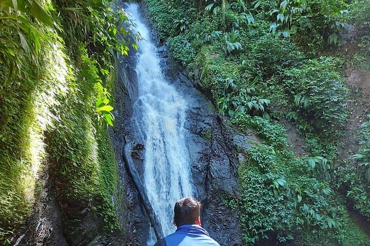 Au Coin and Concord Falls Hike — Grenada Rainforest Waterfall Tour photo 2